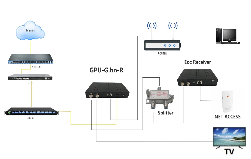 6 6